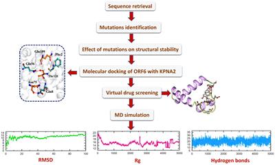 Mutational analysis of SARS-CoV-2 ORF6-KPNA2 binding interface and identification of potent small molecule inhibitors to recuse the host immune system